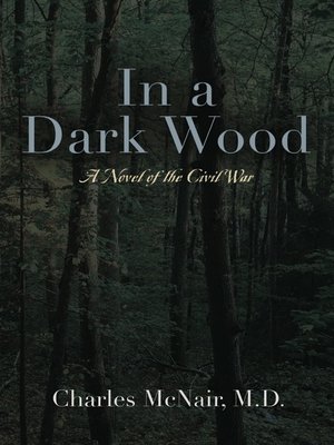 cover image of In a Dark Wood